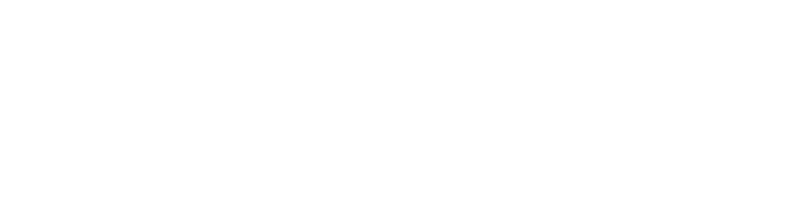 Prolog Worldwide Inc.